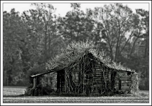 johnboy1970-edit.jpg