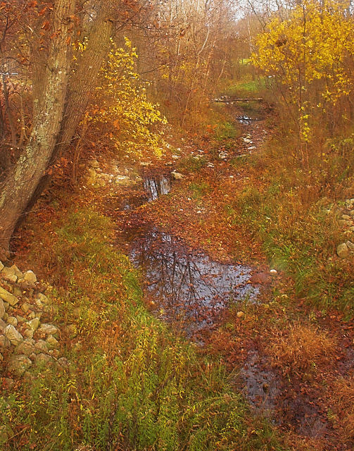 IMG_0675-01-cropped-redo.jpg
