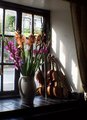 music & flowers