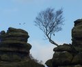 Brimham Rocks, Yorkshire