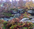 Brimham Rocks, Yorkshire