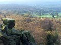 Brimham Rocks, Yorkshire