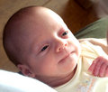 Chloe at 6 weeks