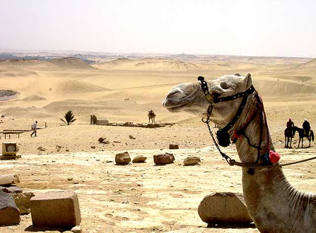 At the Pyramids