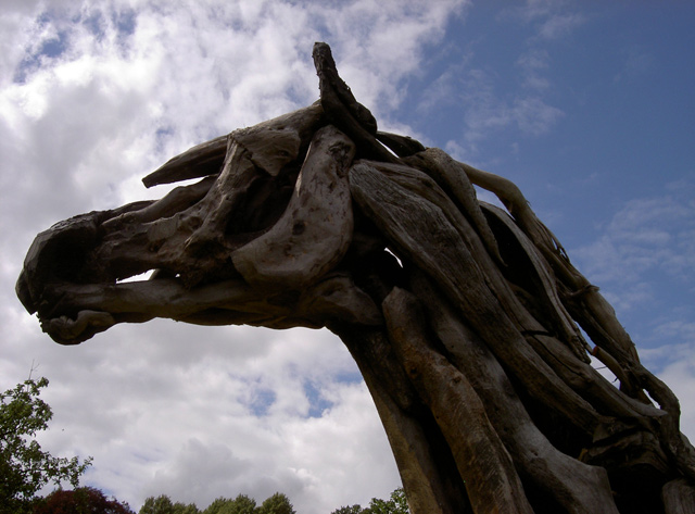 PICT2711horse3.jpg