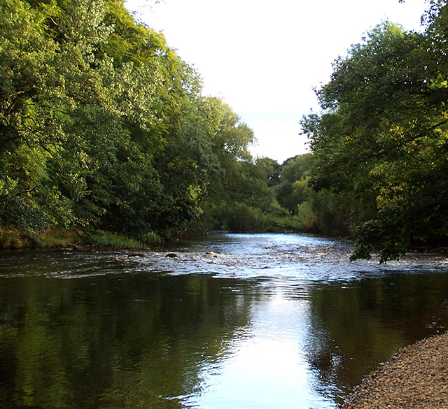 River Ure, Ripon