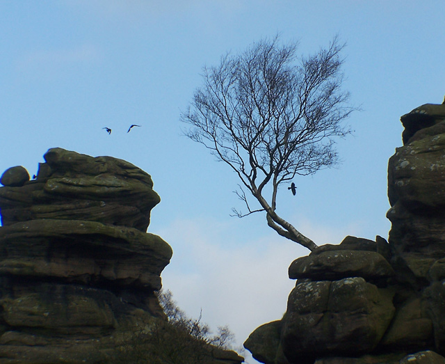 Brimham Rocks, Yorkshire