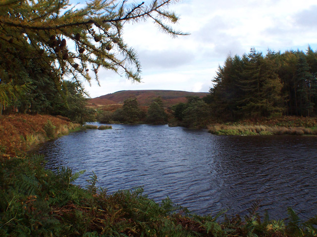 Reservoir, Osmotherly, Yorkshire