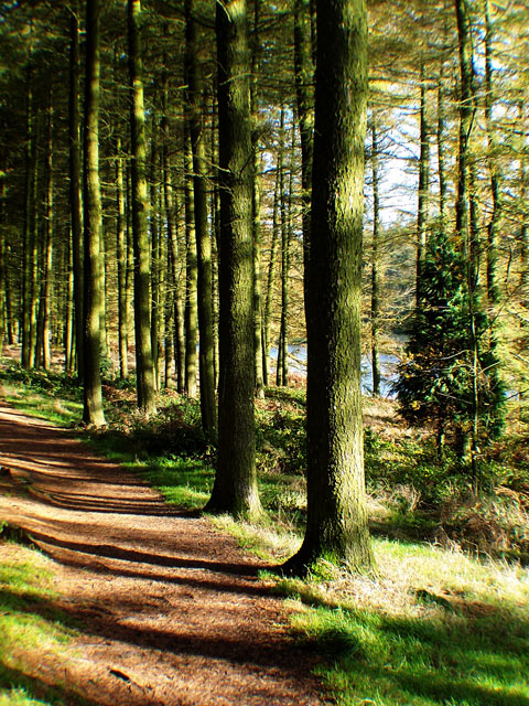 reservoir, Osmotherly, Yorkshire