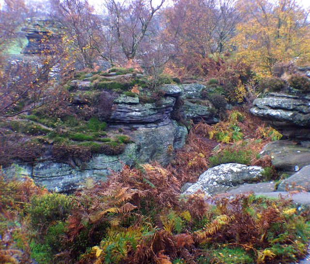 Brimham Rocks, Yorkshire
