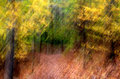 Ghosts of Fall