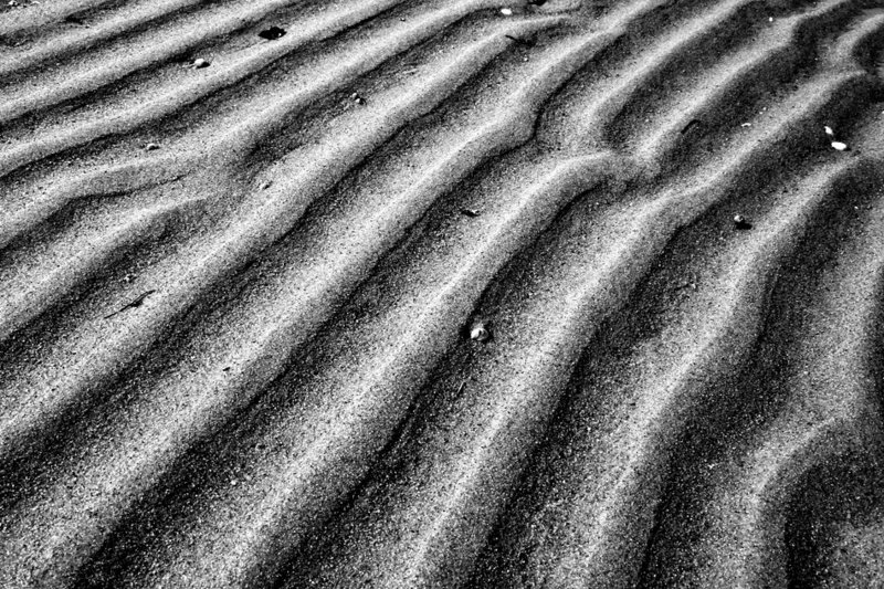 Low Tide