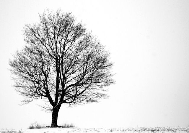 Alone