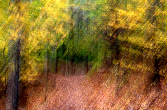 Ghosts of Fall