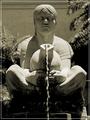 The Water Bearer