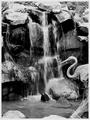 Zoo Waterfall