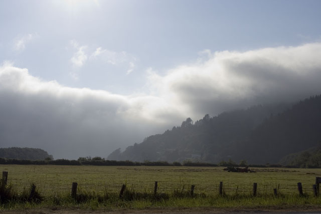 Near Tillamook, Oregon