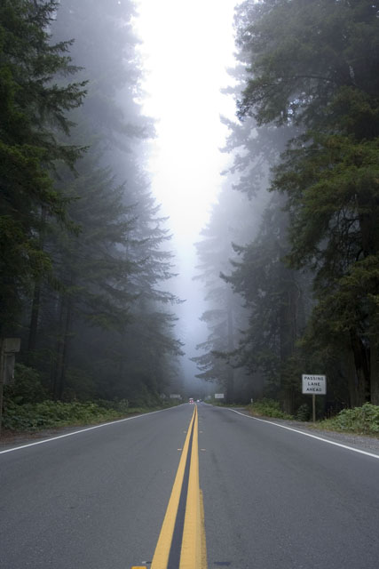 On the Road Again