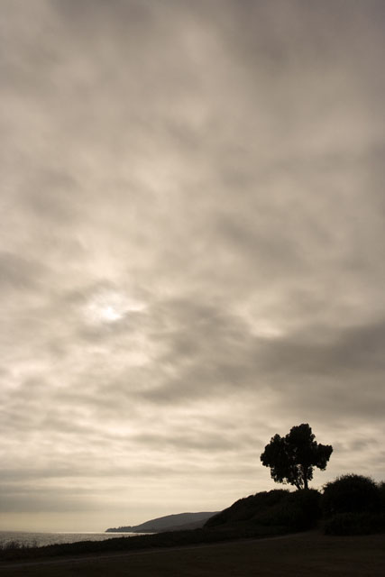 Refugio Beach State Park