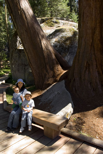 Family at Sequoia National Park