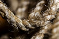 ' . substr('//images.dpchallenge.com/images_portfolio/35000-39999/37252/120/657210.jpg', strrpos('//images.dpchallenge.com/images_portfolio/35000-39999/37252/120/657210.jpg', '/') + 1) . '