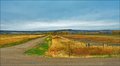 Montana Farmland