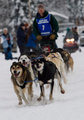 Sprint race at the Willow Winter Carnival 2007