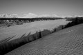 Denali BW