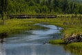 Eagle River 
