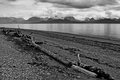 End of the line - Homer Spit