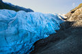 Exit Glacier 002