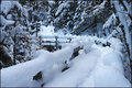 Snow rails