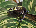 web_2286.jpg