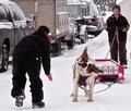 Come on boy...it's only 920 lbs...you can do it!
