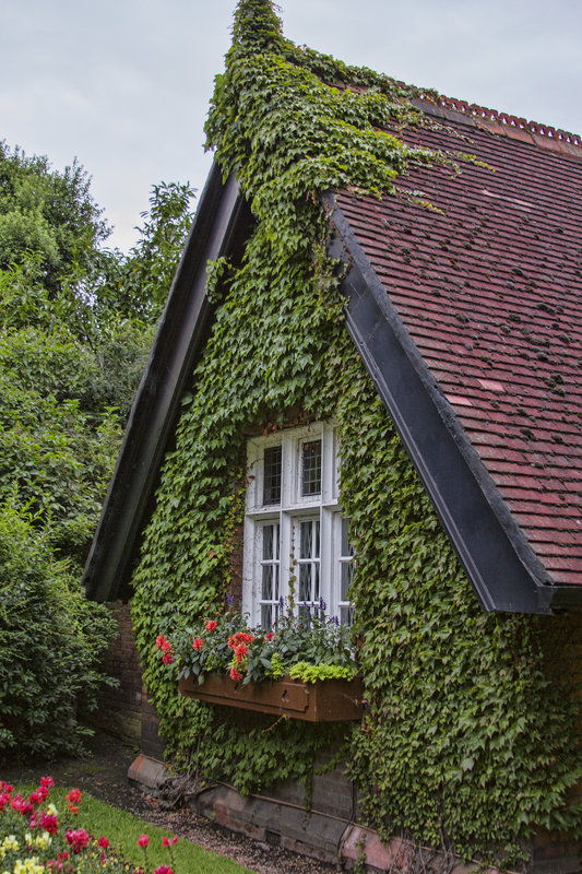 Dublin Cottage_5425