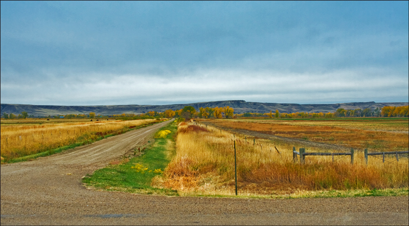 Montana Farmland