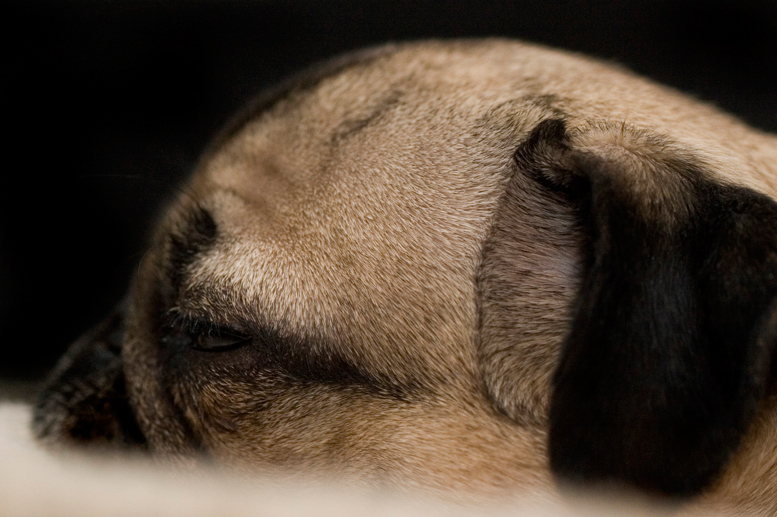 I just wanna sleep