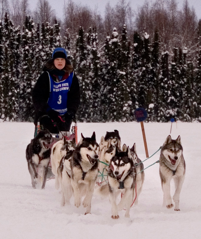 IMG_2732_KariSkogen_web.jpg