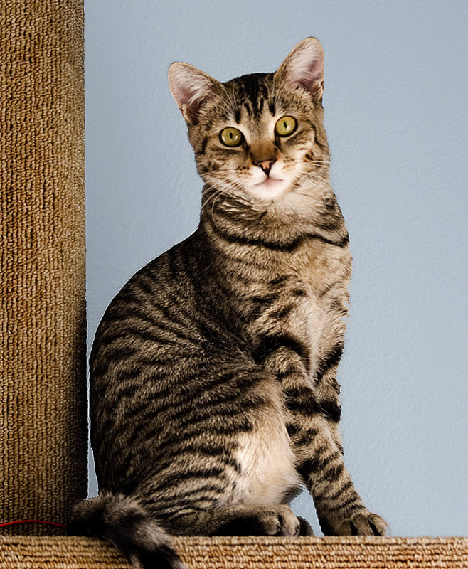 Venus @ 7 months