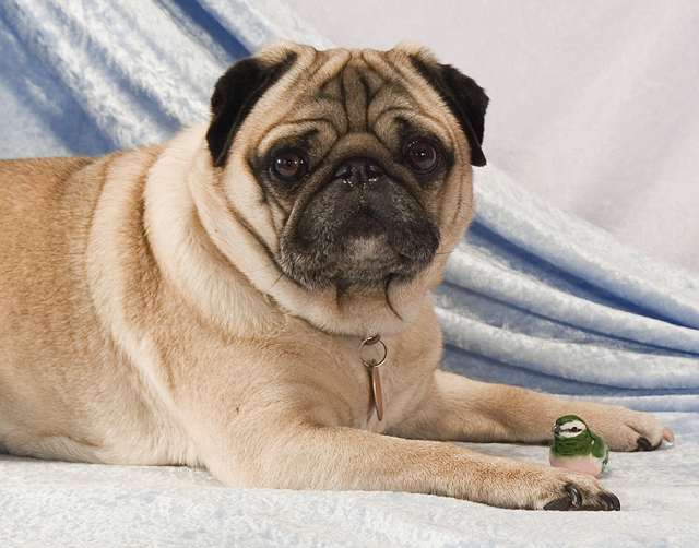 Woofer and Tweeter