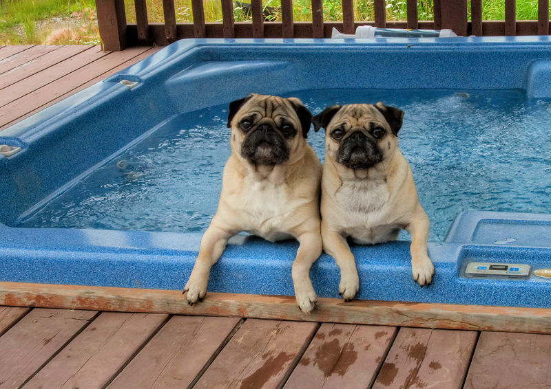 DAY 25: Happiness is a Hot Tub