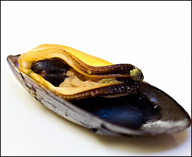 On the half shell