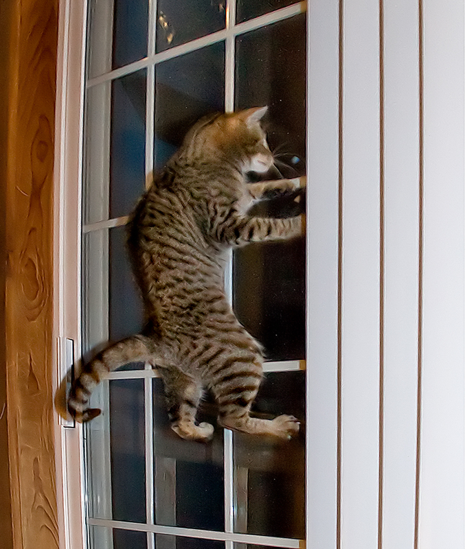 Day 30 : window cling