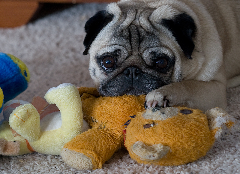 Keeper of the Toys