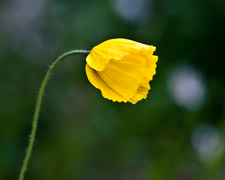 web_1381.jpg