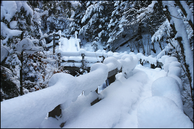 Snow rails