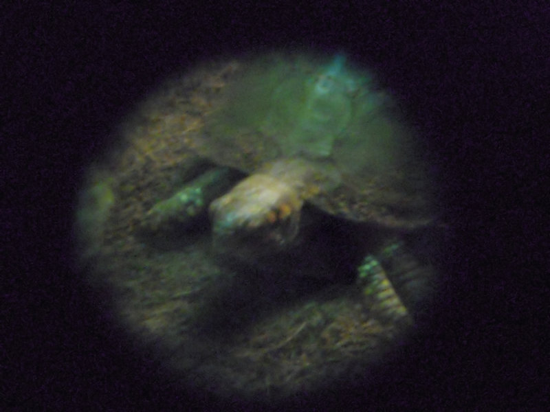 DSCN0117.jpg