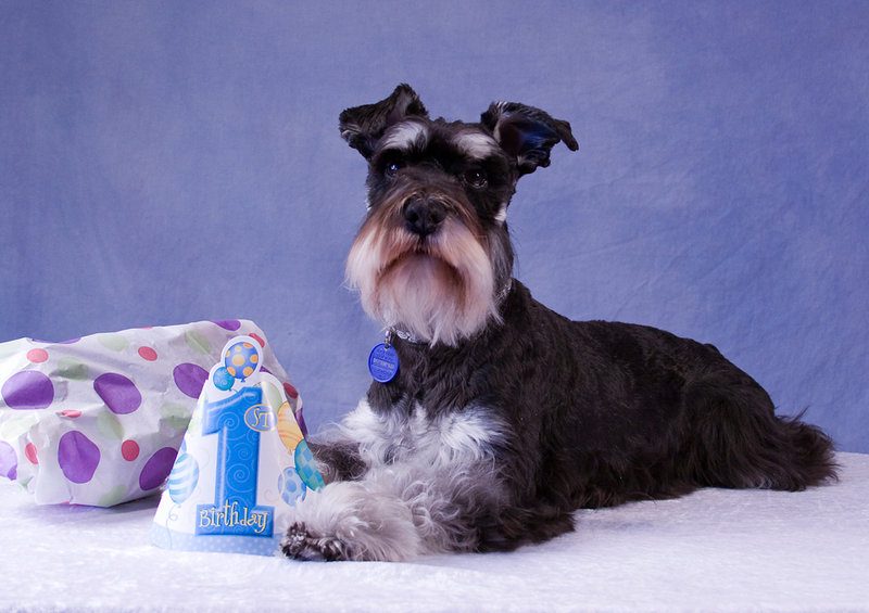 First Birthday