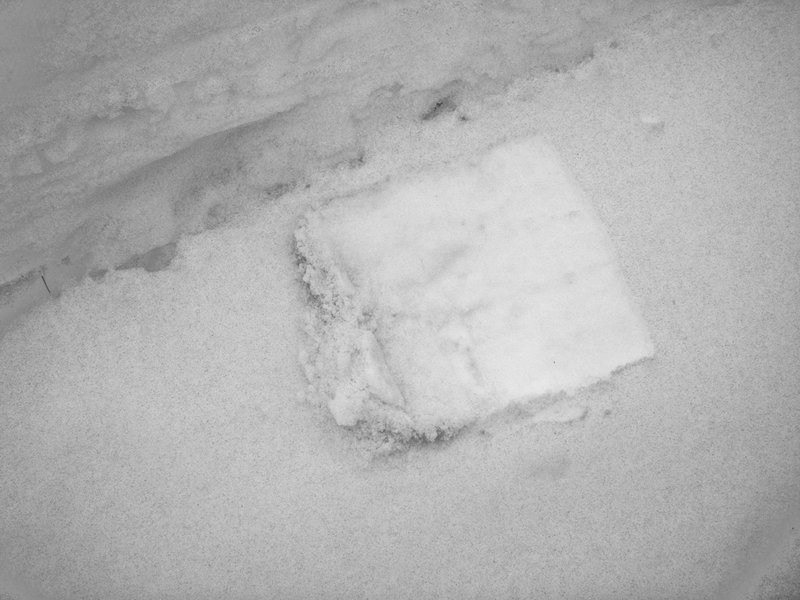 Ash on snow