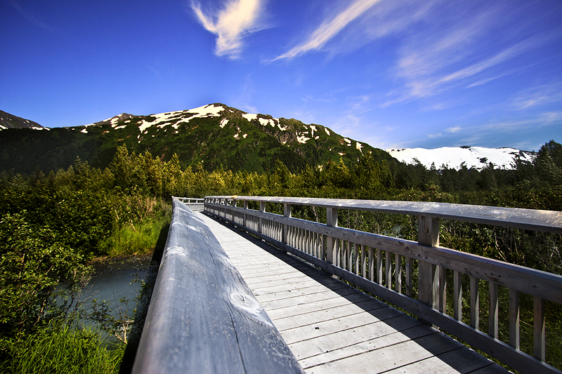 Small bridge along the Blue Ice Trail